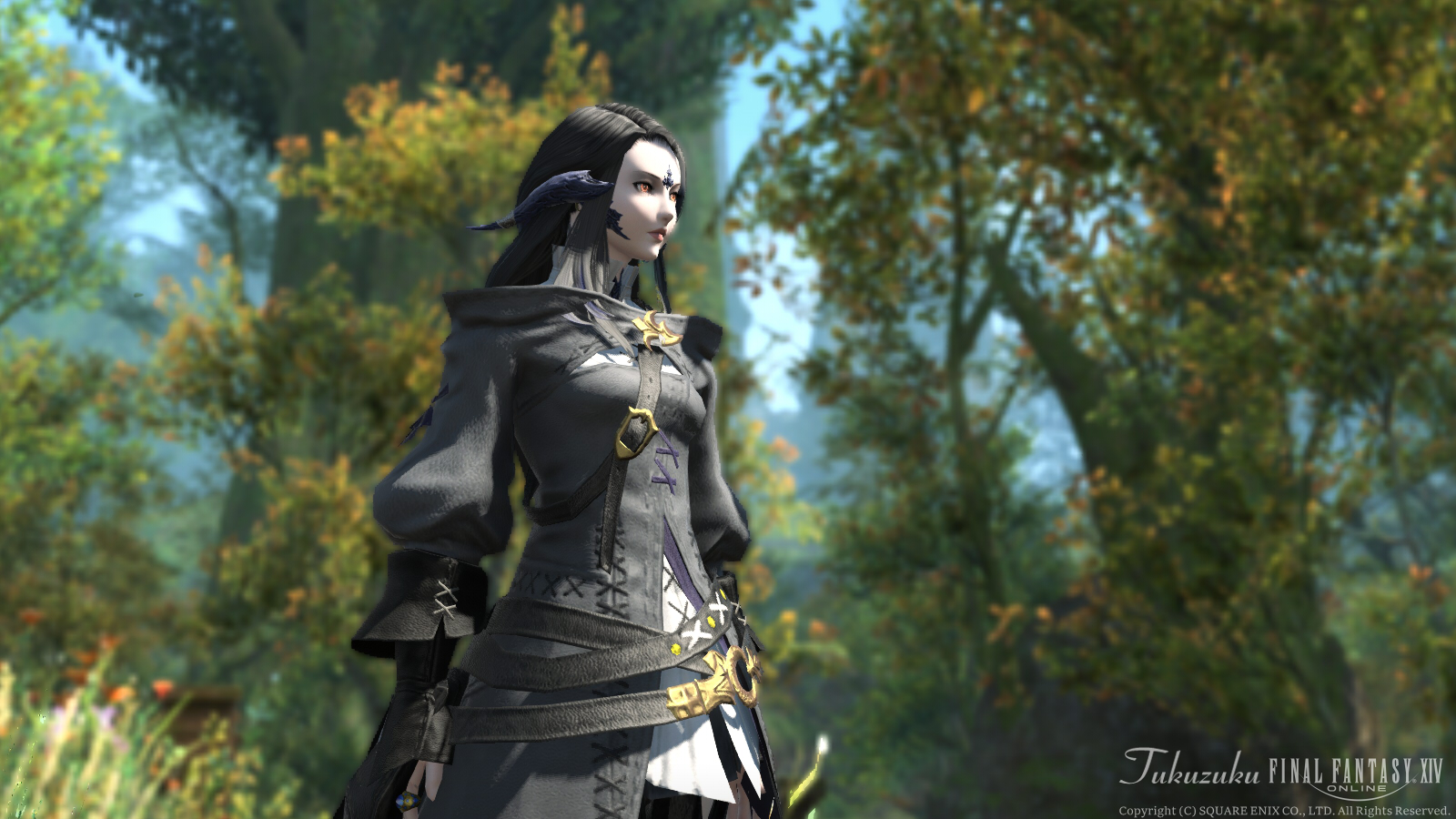 FFTCG限定『FFXIV』スリーブ リムサ・ロミンサ ウルダハ グリダニア FFTCG限定『FFXIV』スリーブ リムサ・ロミンサ ウルダハ