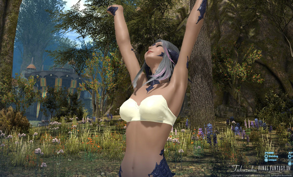 FF14 黄金のレガシー ベンチマーク