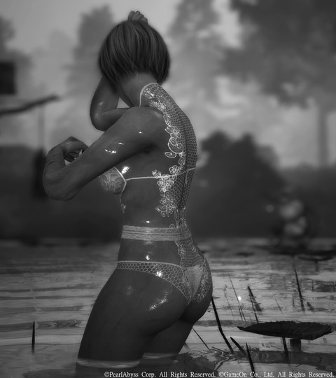 黒い砂漠 ドリームレース下着 沼