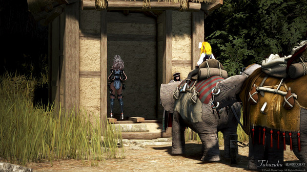 黒い砂漠 荷車象ツアー46