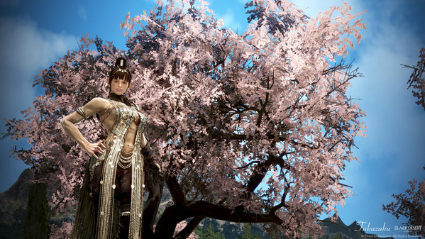 黒い砂漠 ダークナイト [DK]シクルワ衣装 桜