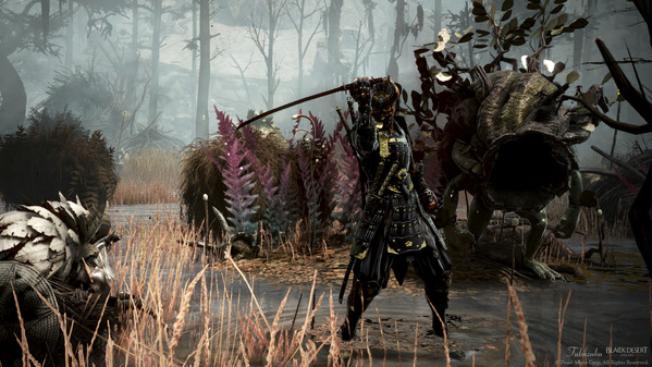 黒い砂漠 忍者 [NJ] 白の山猫アーマー トシュラ廃墟