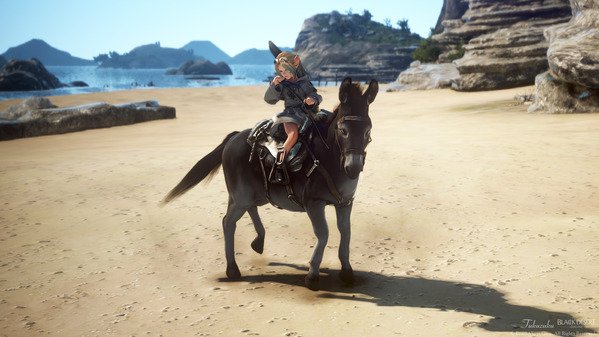 黒い砂漠 シャイ ロバ テルミアンの浜辺