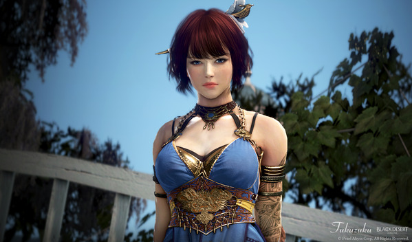 黒い砂漠 ミスティック キャラメイク 血狼 アバター 染色