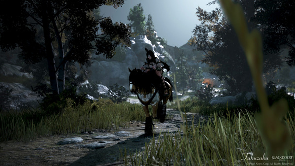 黒い砂漠 ガーディアン 馬