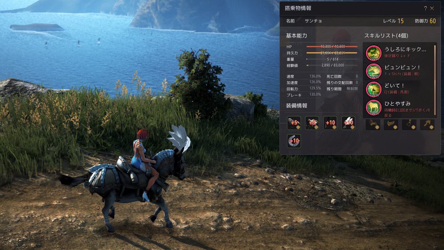 ロバの馬具と シャイ始め Valkyrie