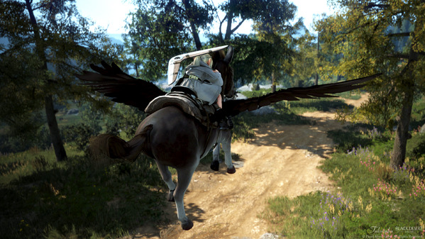 黒い砂漠 飛べ！ロドゥアナート！ ロバ