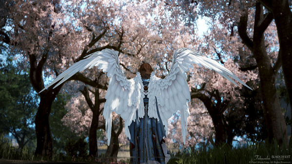 黒い砂漠 桜 セラフィム 審判衣装