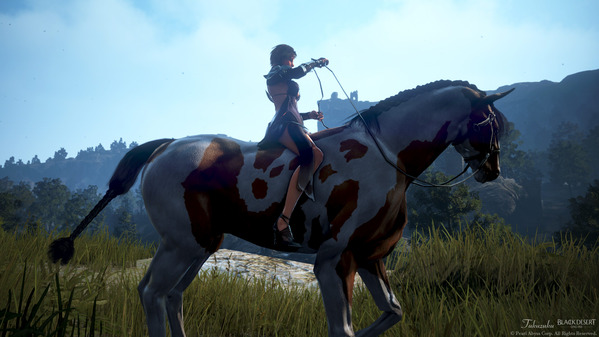 黒い砂漠 ソーサレス 野生馬捕獲