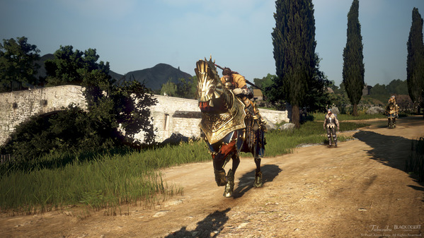 黒い砂漠 ウォーリア 馬放置