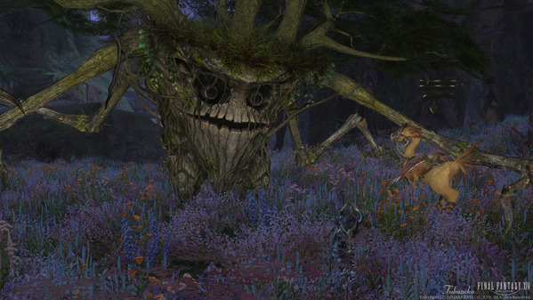 FF14 黒衣森：東部森林