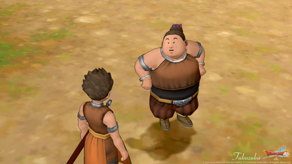 DRAGON QUEST X