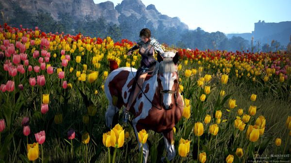 黒い砂漠 チューリップ フレーメの丘