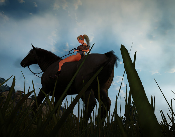 BlackDesert Valkyrie horse