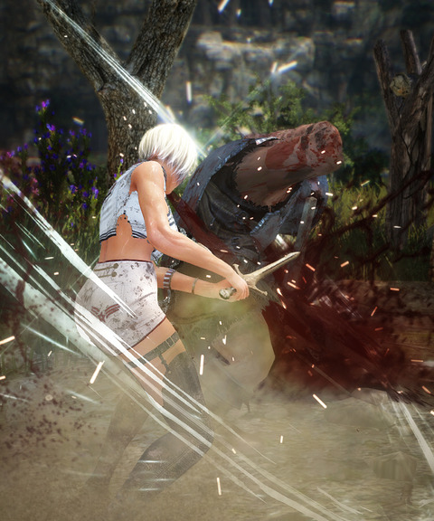 BlackDesert Valkyrie カブト族