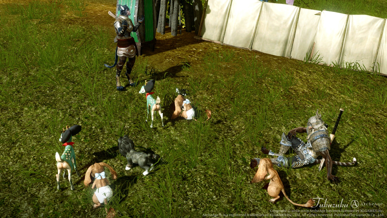 Archeage ふれあいペット王国 Valkyrie Archeage ふれあいペット王国 Valkyrie