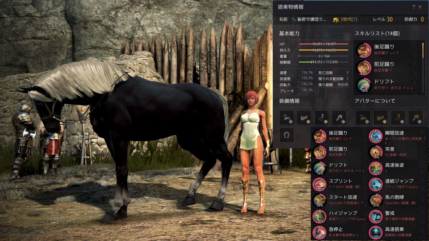 5世代馬lv 30 Valkyrie
