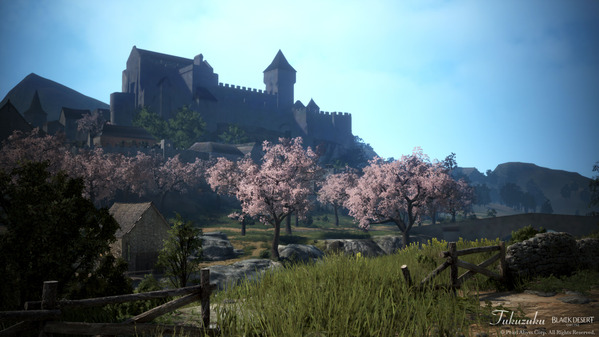黒い砂漠 ハイデル 桜