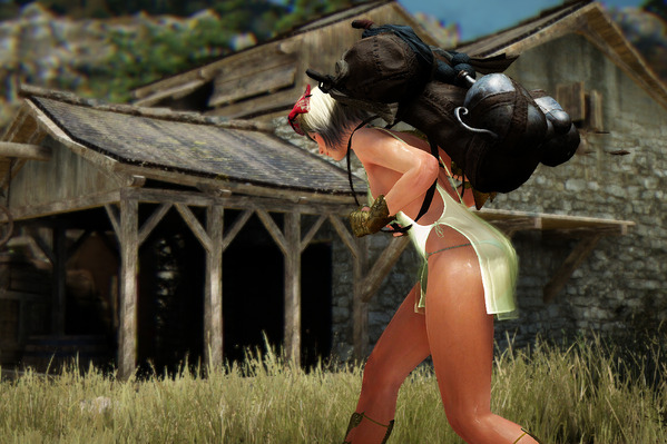 BlackDesert Valkyrie プリエルドランジュ