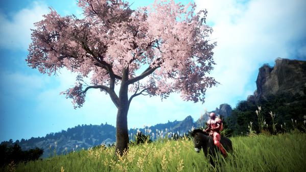 黒い砂漠 格闘家 ロバ 桜