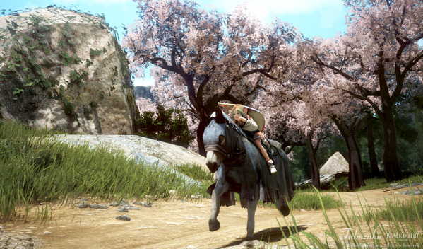 黒い砂漠 シャイ 桜