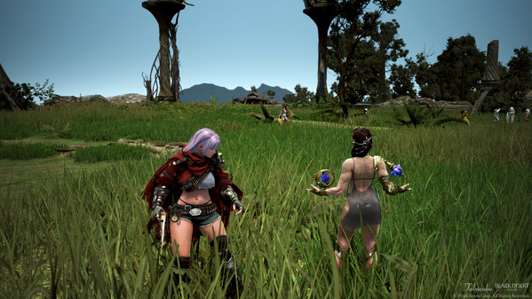 黒い砂漠 ウィッチ デッドアイ