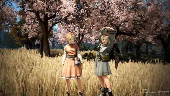 黒い砂漠 シャイ 桜