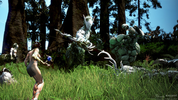 黒い砂漠 ウィッチ フォレストロナロス