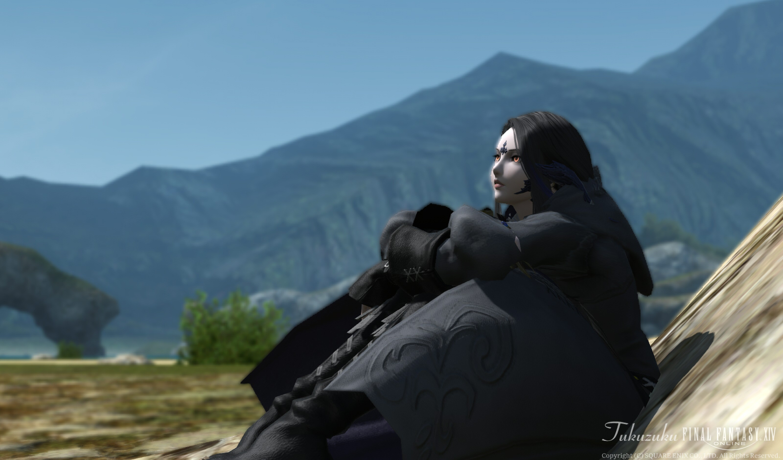 Ff14 キャラクターのプロフィール Valkyrie