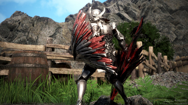 黒い砂漠 ヴァルキリー ブラックスター武器 防具