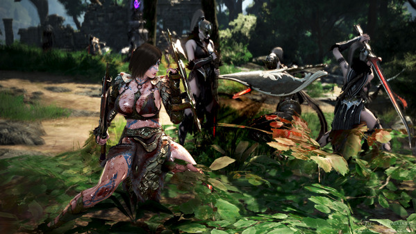 黒い砂漠 ガーディアン カルオクシア衣装 いばらの森