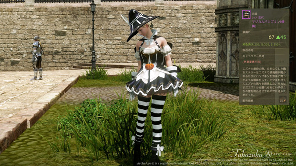 ArcheAge ヌイアン マジカルパンプキン アバター