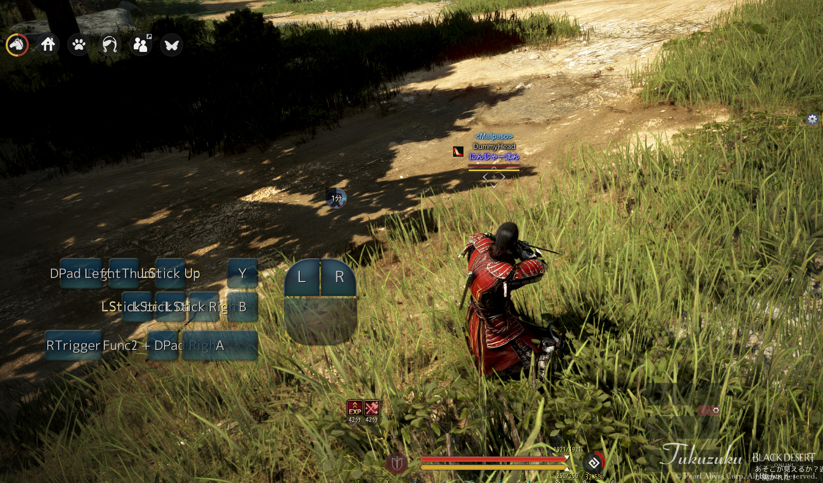 ゲームパッドと 馬放置 Valkyrie