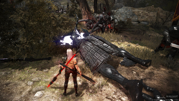 黒い砂漠 ギガゴッド サウニールキャンプ[エルビア]