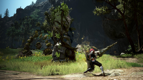 黒い砂漠 オルン渓谷 オルンの心臓