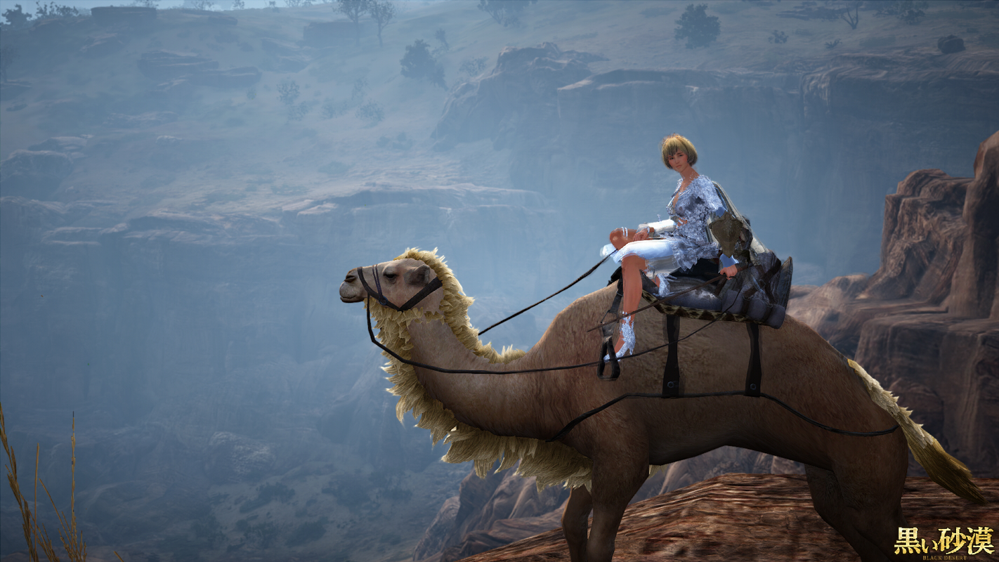 バレンシアで軽く腕試し Valkyrie