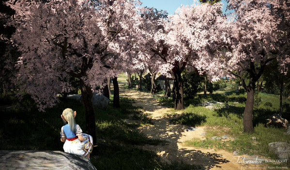 黒い砂漠 シャイ [SH]とことこおつかい衣装 桜