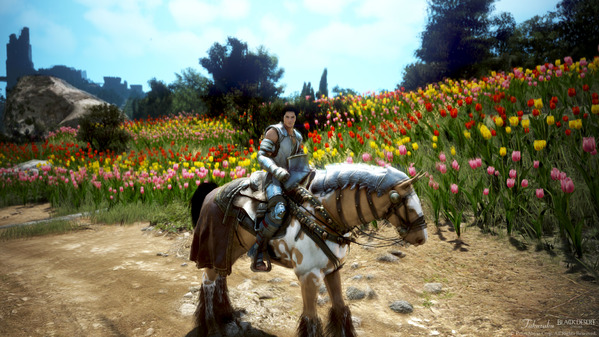 黒い砂漠 格闘家 チューリップ