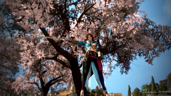 黒い砂漠 コルセア 桜 [CO]マレタカント衣装