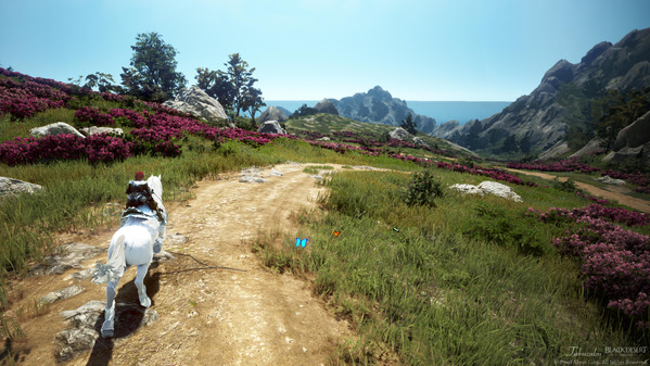 黒い砂漠 朝の国 ヴァルキリー