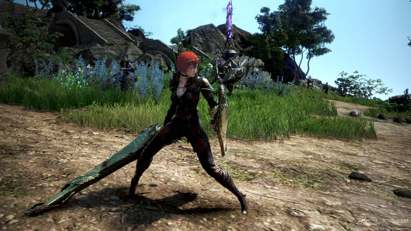 黒い砂漠 ヴァルキリー ローズノワール衣装 いばらの森