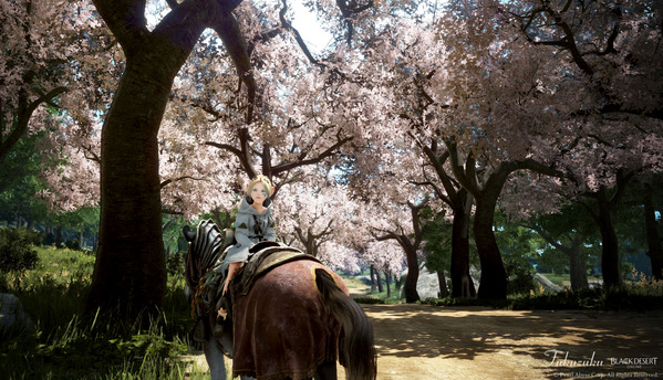黒い砂漠 シャイ 桜