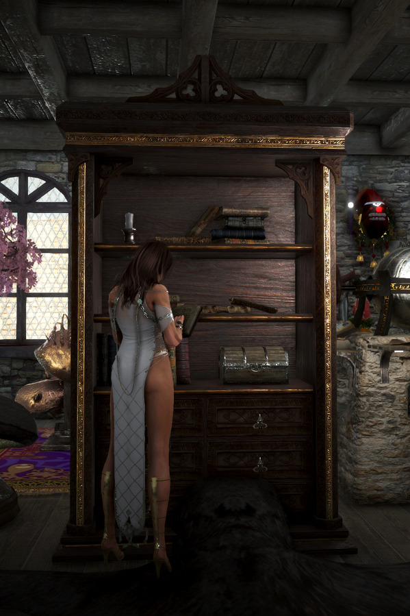 黒い砂漠 カルフェオン生態系手作り本棚