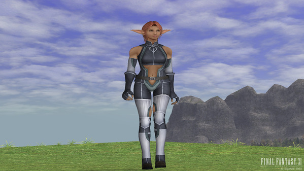 FF11 エルヴァーン（Elvaan）