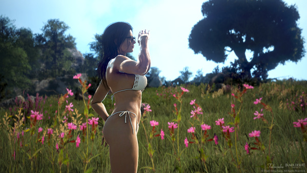 黒い砂漠 デッドアイ イリヤ島 バカンス：ビキニ衣装