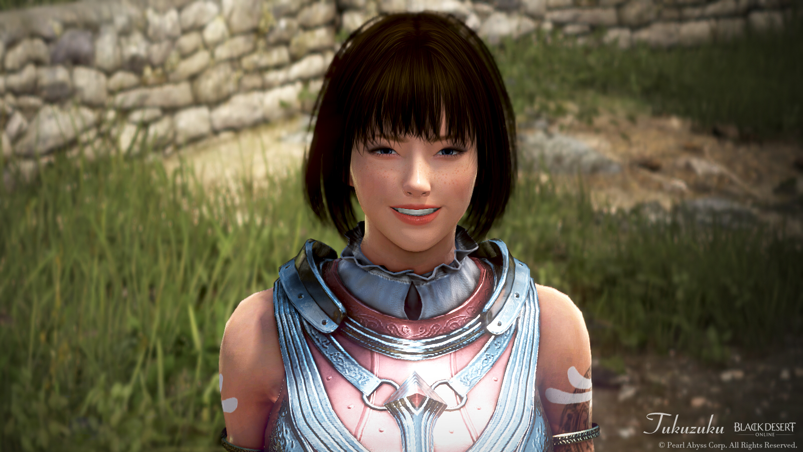 ミスティックのリメイクと アーチャーlv 60 Valkyrie