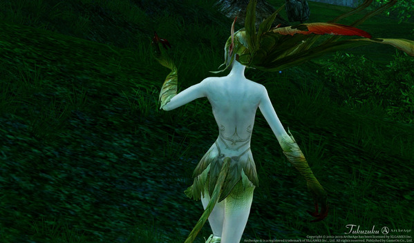 ArcheAge 新サーバー フロンティア エルフ
