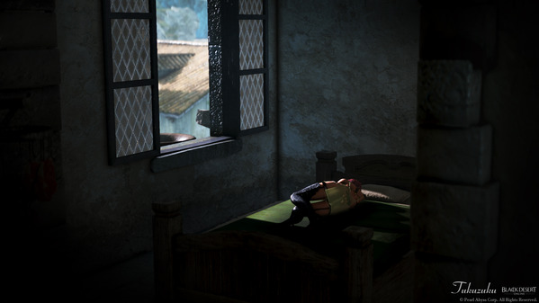 黒い砂漠 ヴァルキリー