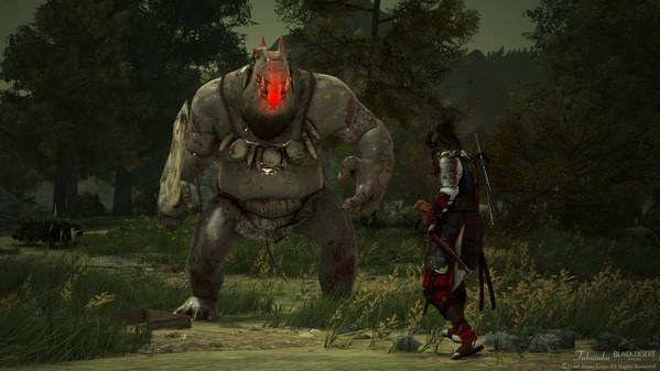 黒い砂漠 闇の狭間ボス レッドノーズ 忍者