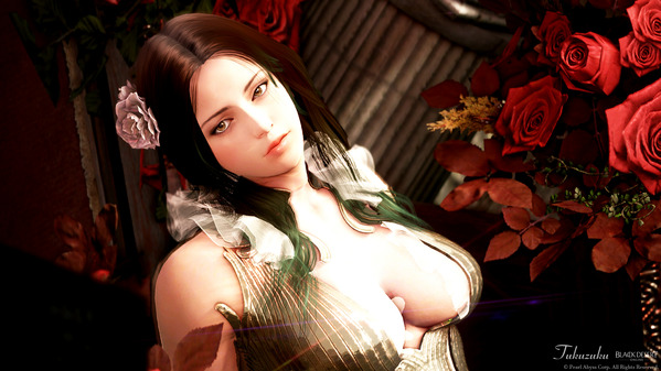 黒い砂漠 ウィッチ [WT]ラブリフ衣装 ハロウィン装飾